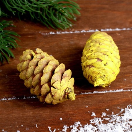 Set of spruce cones "Decor" 2 pcs., Yellow-1