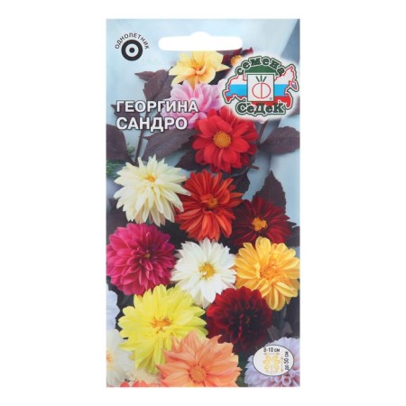 Georgin flowers "Sandro", 0.15 g
