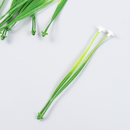 Decor for creativity "Erantis" set 10 pcs white 14.5 cm-1