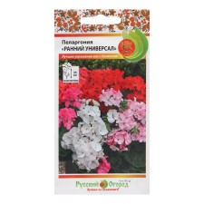 Flower seeds Pelargonium 