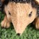 Garden figure "Hedgehog Tolstun" 17x10x8cm ////