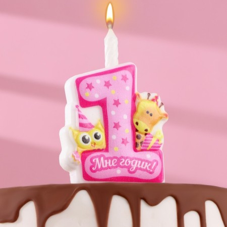 Candle in the cake "I am a year old!" with giraffes and owl, 9.7 cm, 12 min, 40 g
