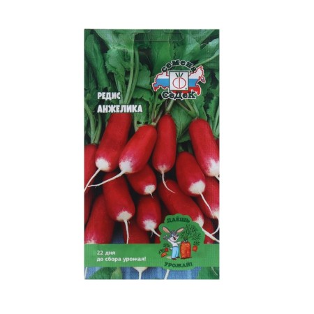 Seeds Radis "Angelica" 2 g
