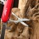 Swiss knife "Master K" 8B1, red