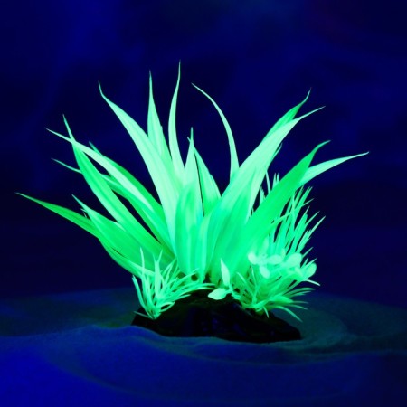 The plant is artificial aquarium, luminous, 10 cm, green-3