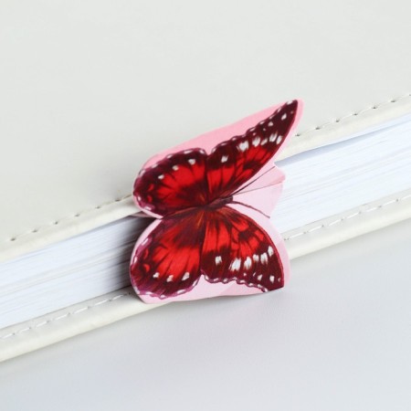 Cardboard Cardboard Set 5 pcs, voluminous "the best"-2