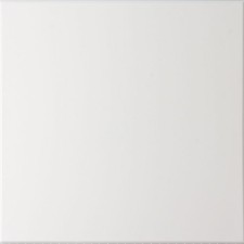 Ceiling plate 
