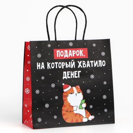 Package Gift "Gift", 22 x 22 x 11 cm, new year-1