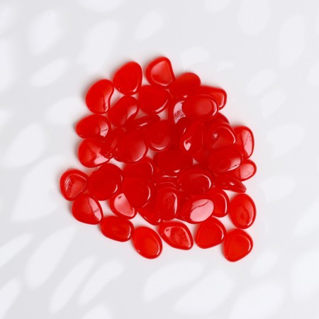 Lighting decor "Galka" coral, 100g / fraction 2-3cm-4