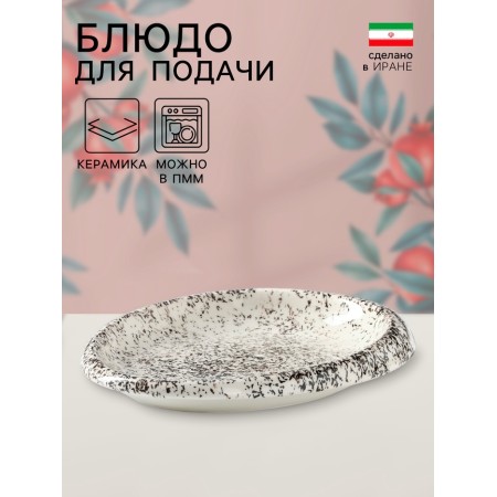 A dish for serving "oval of a baby", 22 × 15 × 3 cm, ceramics, Iran