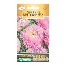 Seeds of flowers Astra dense syringe blooming May, 0.1 g