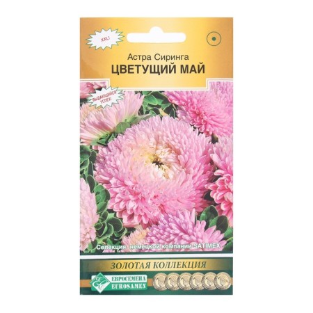 Seeds of flowers Astra dense syringe blooming May, 0.1 g