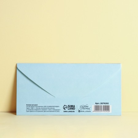 Money envelope "Wedding", glitter-2