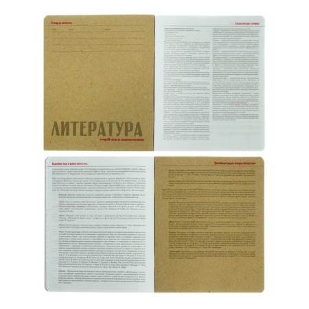 Subject HashTags, 48 ​​sheets in the Literature line with reference material, block 65 g/m2-1