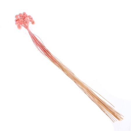 Sukhotzet "Batao" set 20 pcs., Mix color-3