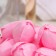 Tulips soap pink, set 50 pcs