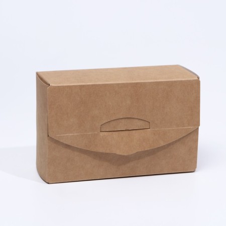 Universal Slide container, 11.5 x 7.5 x 4.5 cm-1