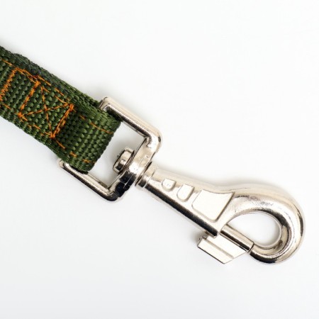 Two -layer leash with reinforced carbine, 2 m x 2 cm, green-1