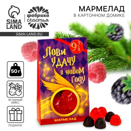 Marmalade in the box “Catch good luck in the New Year” berries, 50 g.