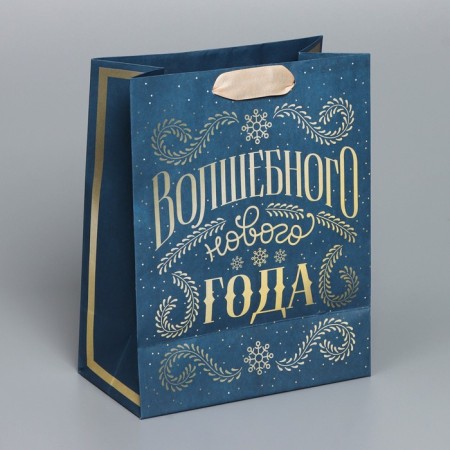Craft vertical "Magic" package, MS 18 x 23 x 10 cm, New Year-2