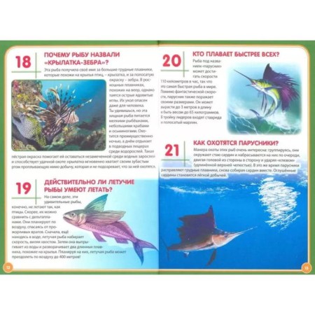 Underwater world. 123 questions-123 answer. Ed. Fedanova Yu., Skiba T.-1