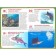 Underwater world. 123 questions-123 answer. Ed. Fedanova Yu., Skiba T.
