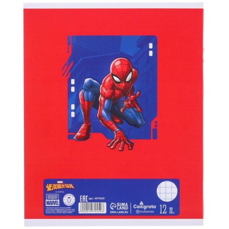Gift set for a boy, 9 items, Spider-Man-16