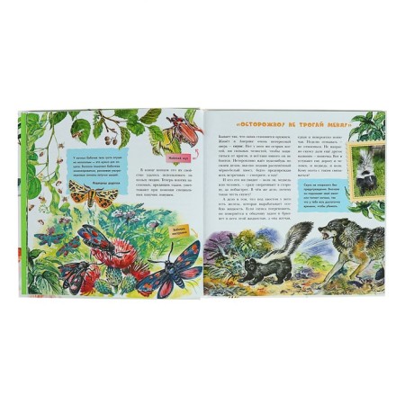 I want to know everything about animals. Tanasiychuk V.N.-2