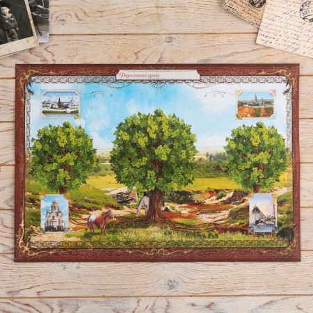 The genealogy book in the box with a pen and ink “Tree”, 56 sheets, 26 x 24 x 7 cm.-11