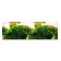Background for aquarium, 30 cm, roll 25 m