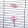 Drill for rodents, 350 ml, pink