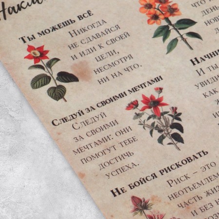 Stickers for the diary "Botanika", tracing paper, 13 x 18 cm-1