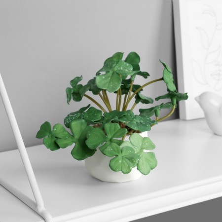 Bonsai in the pot "Painting Pelargonium Lux" (soft sheet) 9x6 cm, mix