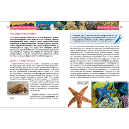Children's Encyclopedia "Amazing Animals"-1