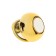The accessory on the panel, gravitational rings, rotates from the sun, gold