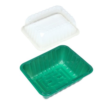 Mini-Pirate for seedlings 21 × 16 × 6.5, without inserts, Greengo-3