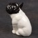 Porcelain figurine "French bulldog white-black", 8 cm, copyright painting