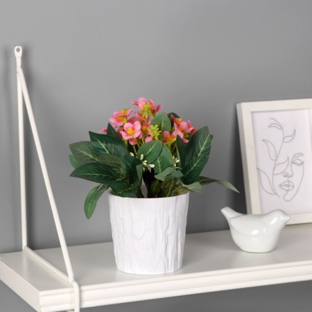 Bonsai in the pot "Elegant primrose" 9,5x22 cm, mix