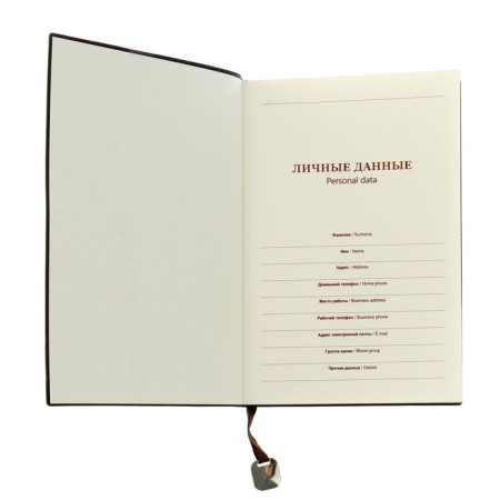 Diary Leduced A5,116 sheets in a cage, tinted cut, Light cover Mix-3