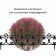 Decorative fence, 30 × 290 cm, 5 sections, plastic, black, "park"