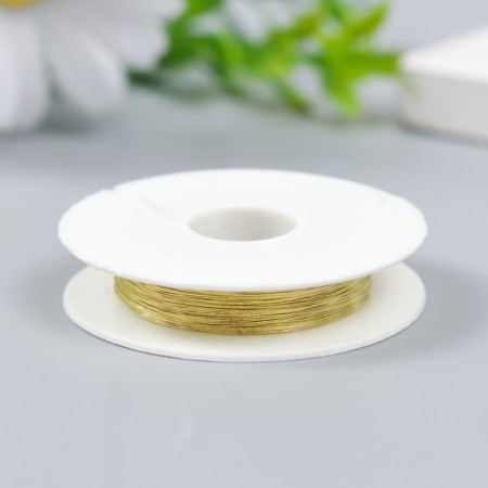 Wire for creativity "Astra" 0.2 mm, 10 m, gold-2