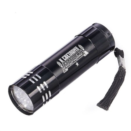 Flashlight in the case "To the bright future"-1