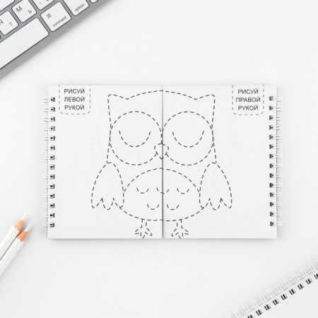 Set: a double notebook with tasks and the pen "excellent study"-4