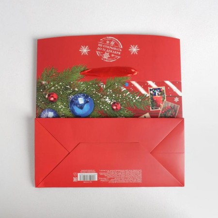 Package - New Year's Parcation, 28 x 20 x 13 cm, New Year-6