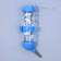Drill for rodents 125 ml, 12.5 x 4.5 cm, mix of flowers