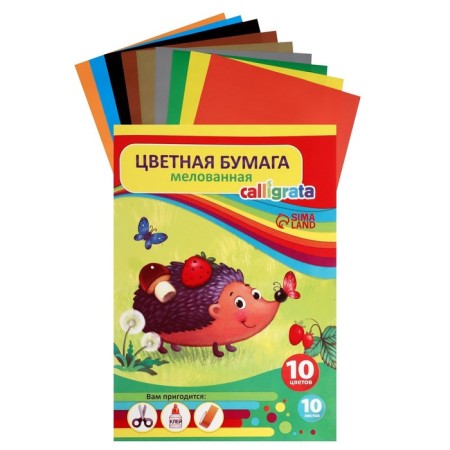 Color paper A4, 10 sheets, 10 colors "Hedgehog in the forest", coated, in the folder-7