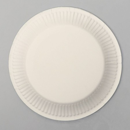 Paper plate "Camouflage", in a set of 6 pieces-1
