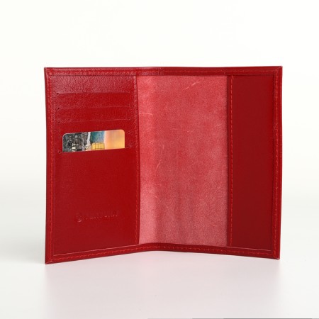Cover for passport, Textura, red color-4