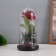 Halloween Light Sobe "Spider with Rose" 1.5W, LED, 3XAAA, Black USB 11x11x21cm