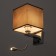 Bra 2236/1br E27 40W brown chrome 17x21x45 cm